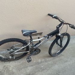 Diamondback Octane 24 Youth  Bike Bicycle 