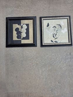 Botanical Silhouette Framed Art Prints Set of 2