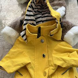 clothing for small dog