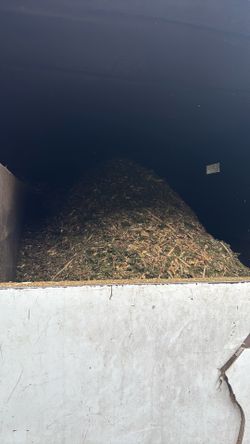 Free woodchips