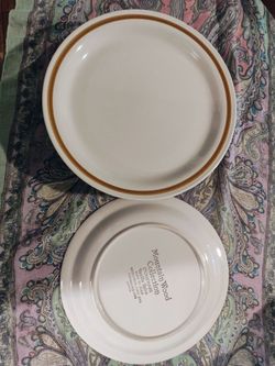 Dinner plates