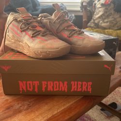 Junior Size 5 Basketball Shoes