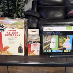 10 Gal Reptile Tank with Decor Lamps/bulbs