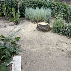 Stump Grinding 