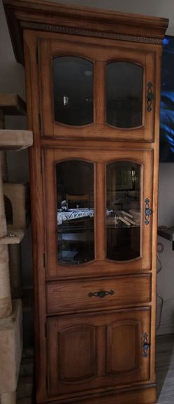 Entertainment Center With Glass And Lights