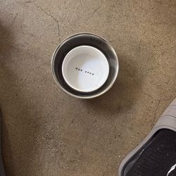 2 Dog Bowls