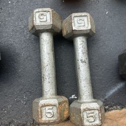 5 Lb Dumbbell