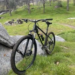 2024 Trek Marlin 6