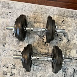 Dumbbell set