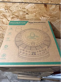 Egg incubator