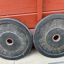 Olympic 10 Lbs Bumper Plates 