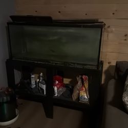 60 Gallon Tank And Stand 