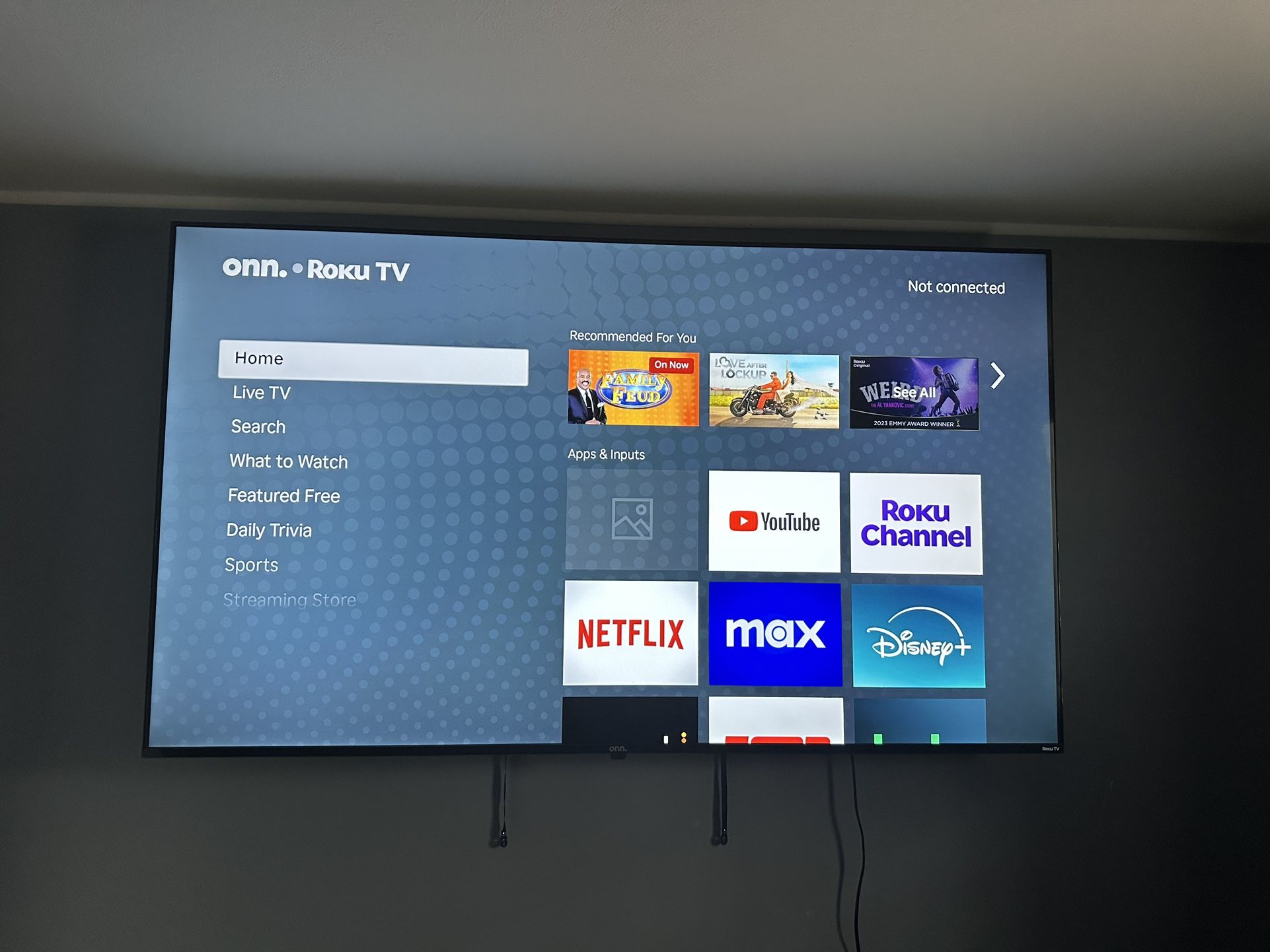 Roku 70 inch Tv