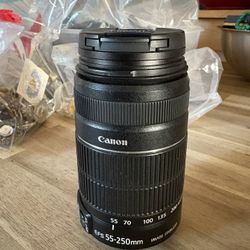 Canon's EF-S 55-250mm f/4-5.6 IS STM Lens 