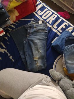 Hollister, Aéropostale, Charlotte Russe Jeans