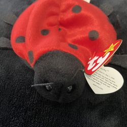 Ladybug Lucky Beanie Baby