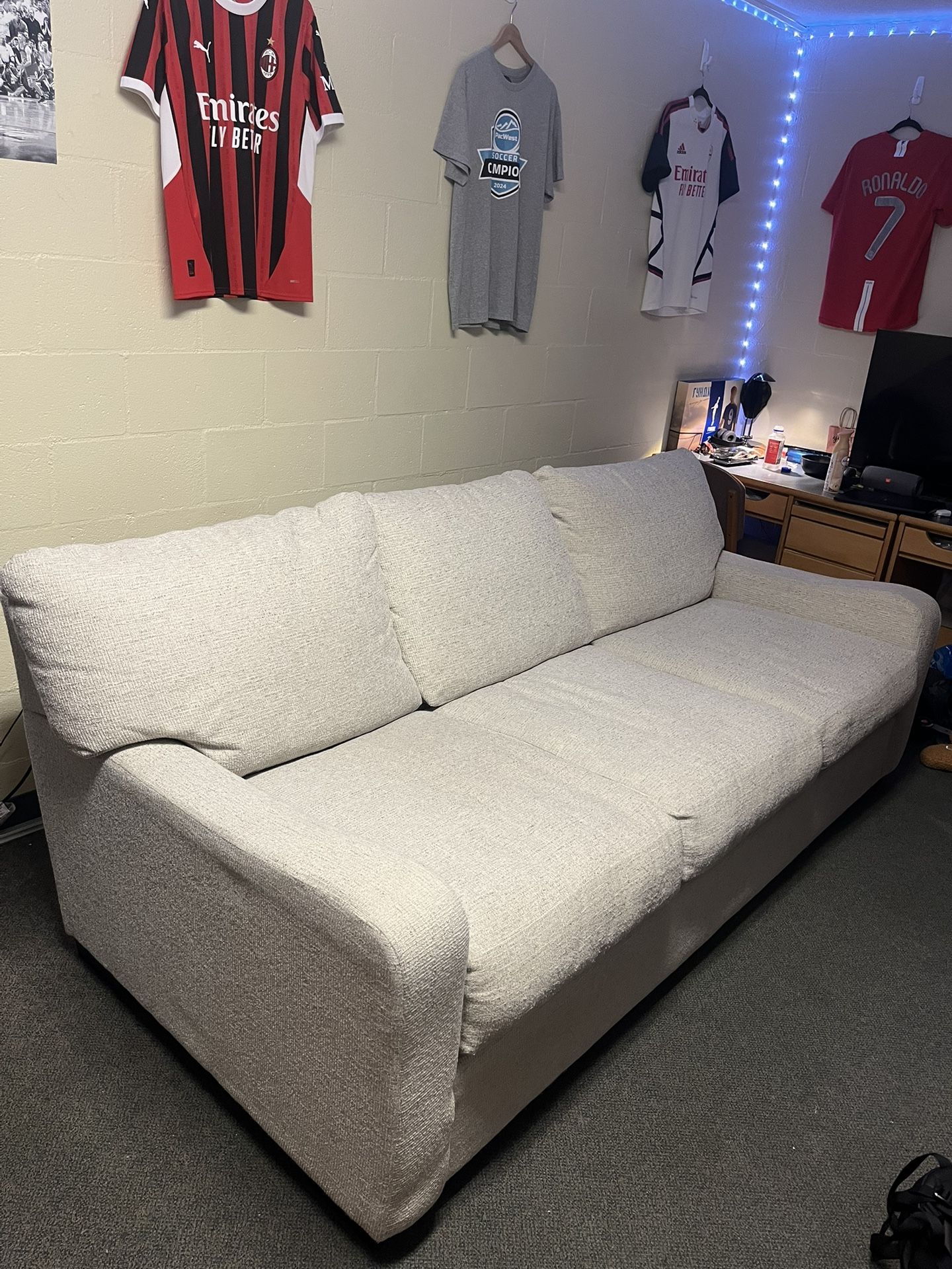 Less Than A Year Old Couch/Sofa