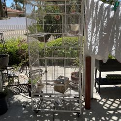 Bird Cage