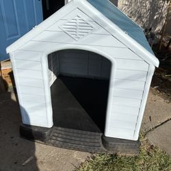 Dog House 