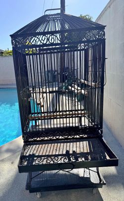 Bird Cage