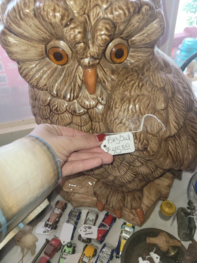 Large Owl