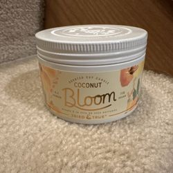 Coconut Bloom Scented Soy Candle new! $5