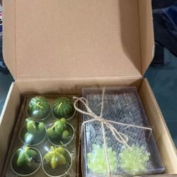 2 Pack Cactus Plant Tea Candies 