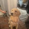 Doug