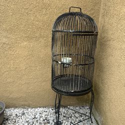 Bird Cage 