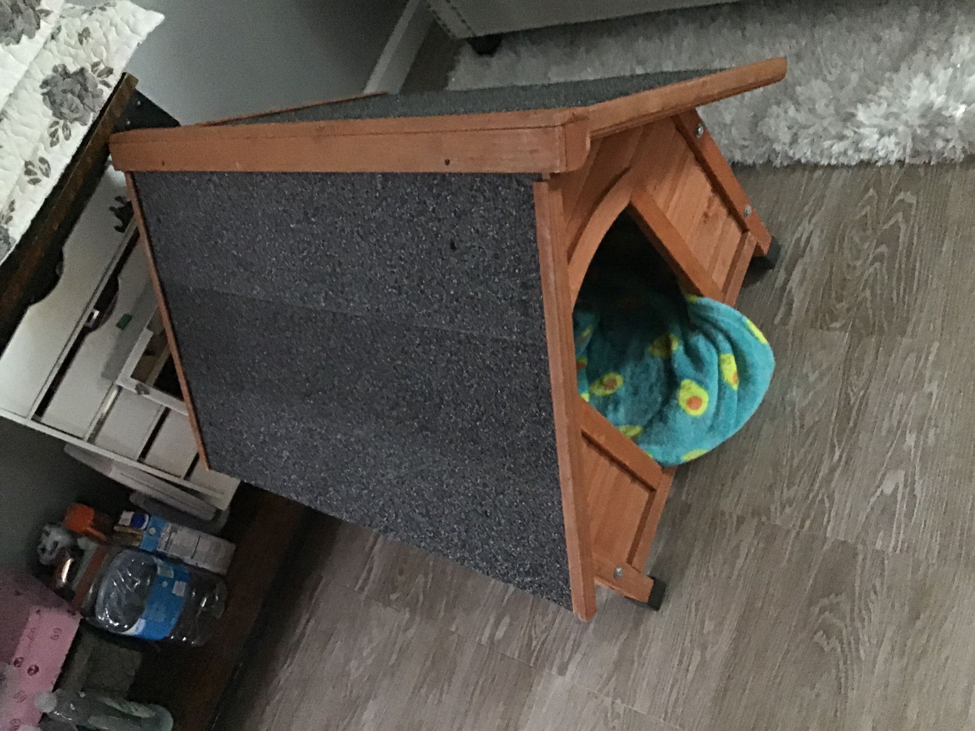 Dog house