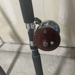 PENN rod and Reel 
