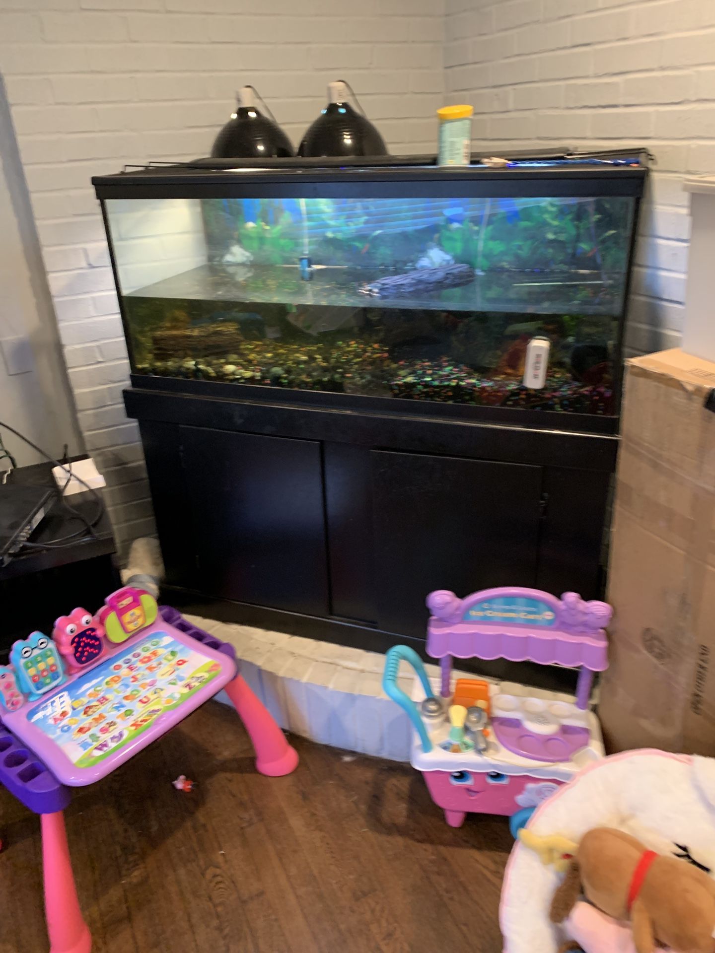 75 Gal Turtle Set Up