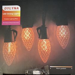 Dylyna LED String Lights w/ Remote 49.2 Ft. 