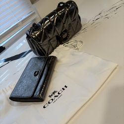 Coach wallet and purse set