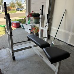 Bench Press