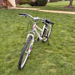 Nishiki Bike