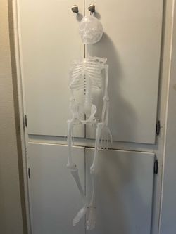 Light up Halloween Skeleton