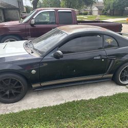 2004 Ford Mustang