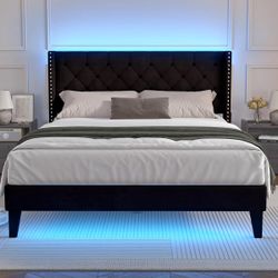 Queen Bed Frame with LED Lights, Upholstered Velvet Platform Bed Frames with Button Tufted Wingback Headboard & Footboard - Wooden Slats Support, No B
