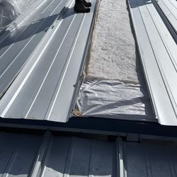 Roof Panels