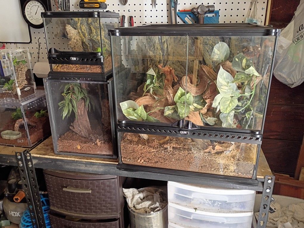 , Reptile Aquariums.