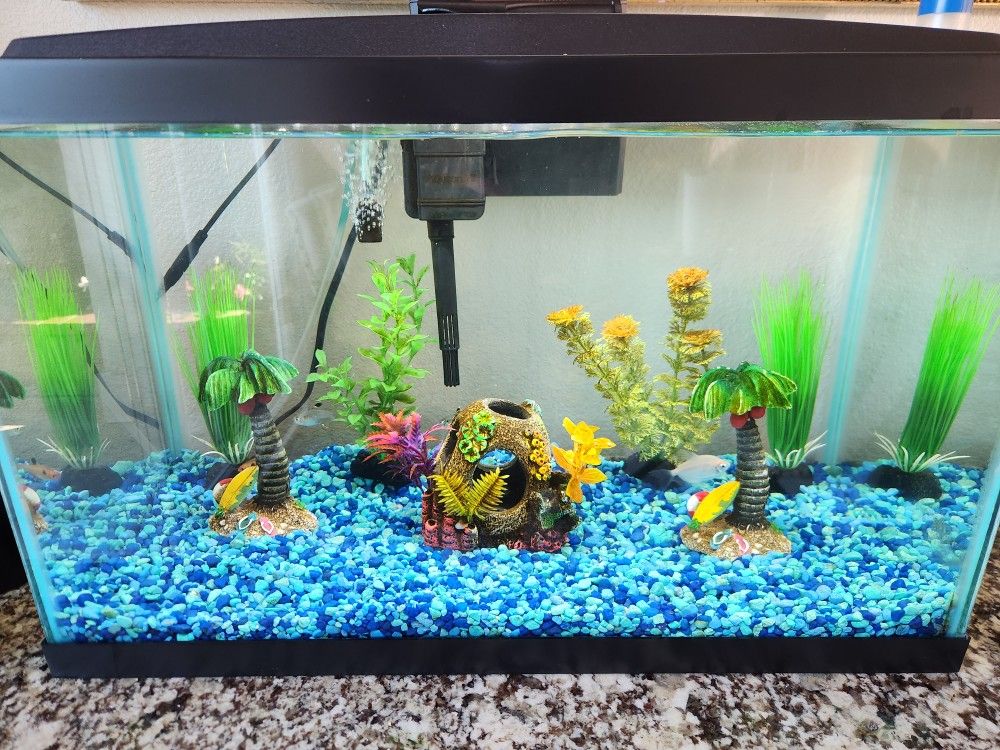 Fish tank 10 Gallon