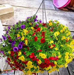 Hanging basket