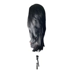 Natural black 20” layered lace front wig