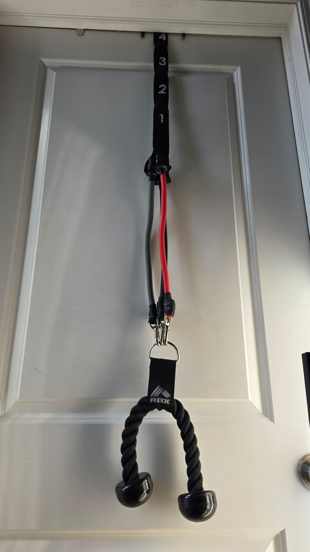 RDX Doorway Exercise Band System