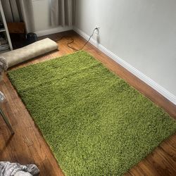4 X 6 Green Shag Rug