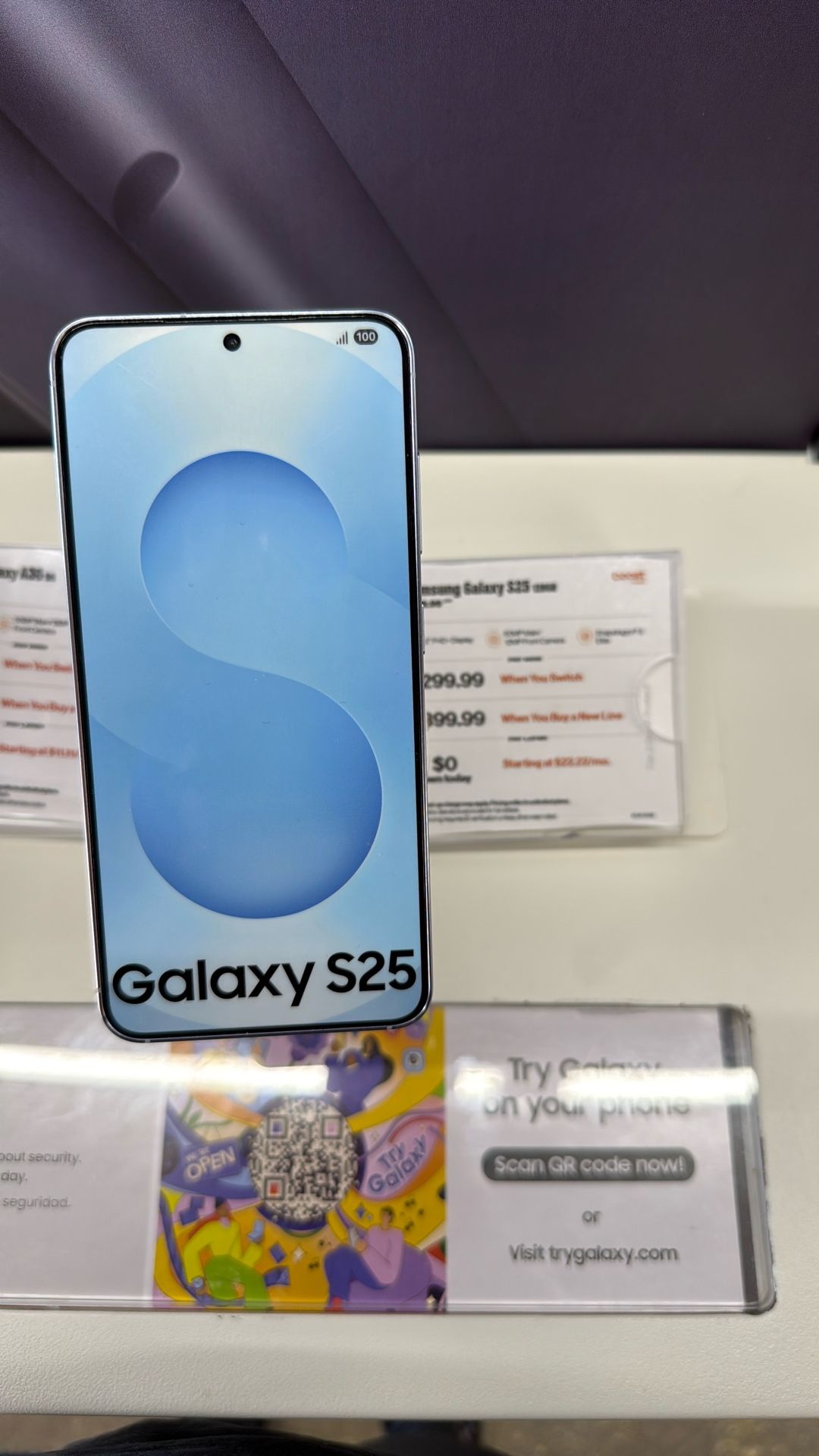 Samsung Galaxy S25