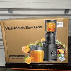 Wide Mouth Slow Juicer 