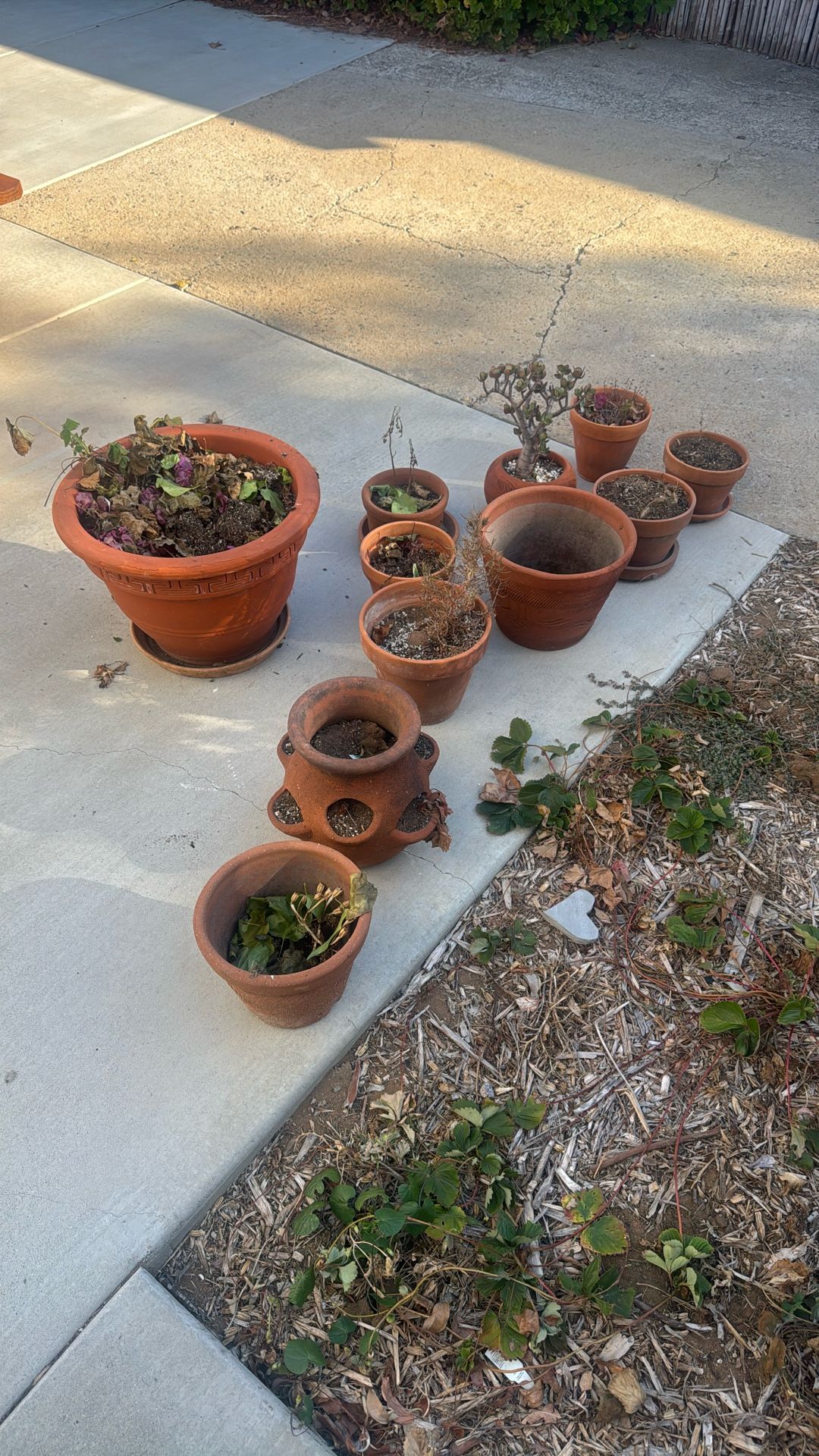 Various Terra-Cotta Pots