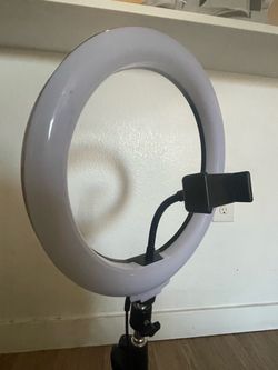 Studio light
